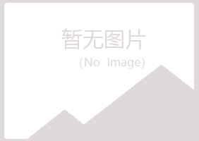 青岛崂山白山能源有限公司